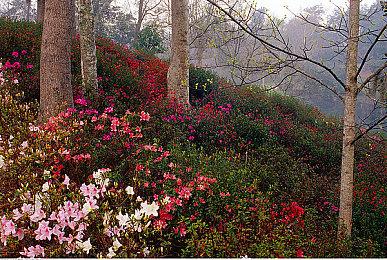 《文明VII》1.0.1补丁3发布，修复问题，提升游戏性